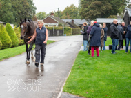 WG031025-49 - Jaramillo